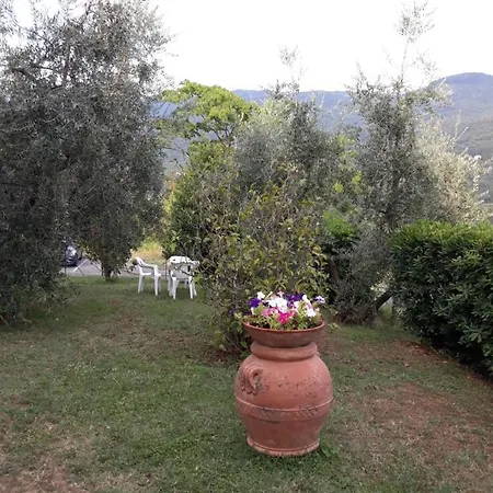 Gli Oleandri