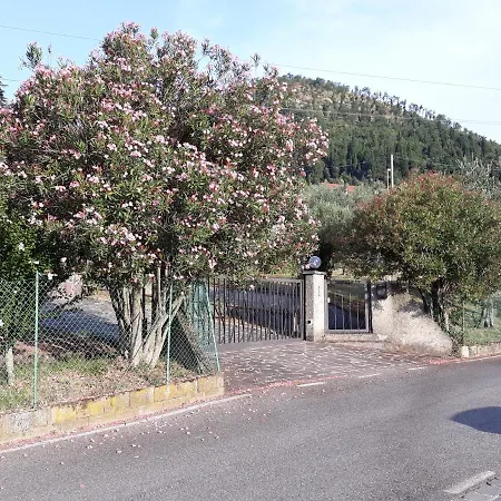 Gli Oleandri